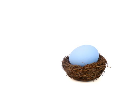 easter egg in a bird nest