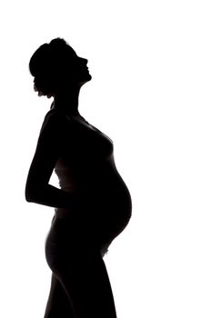 pregnant woman silhouette on a white
