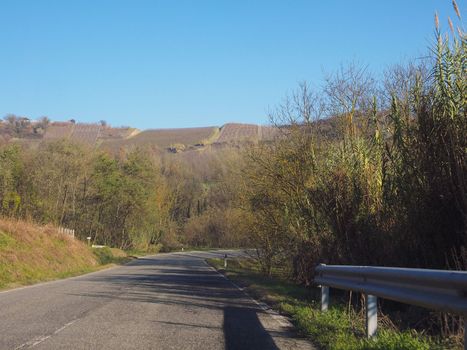 Roero hills in Piedmont