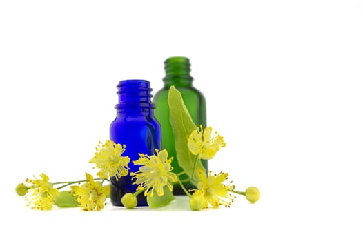 Fresh Linden or Tilia flowers and leaves with essential oil bottles in a therapeutic aromatherapy still life isolated on white background