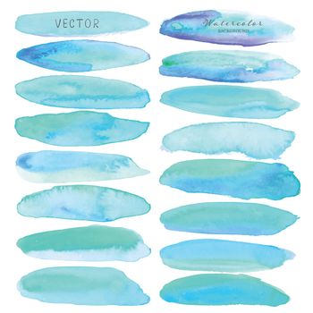 Set of mint watercolor on white background, Brush stroke watercolor, Vector illustration.