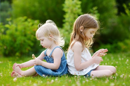 Two cute little sisters sitting on the grass