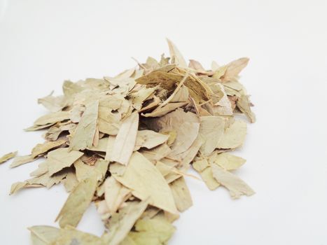 Dried Senna Alexandrina (also called daun jati tiongkok, daun jati china) leaves with white background. This leaves usually used as herbal tea. This tea refreshing and has special aroma.