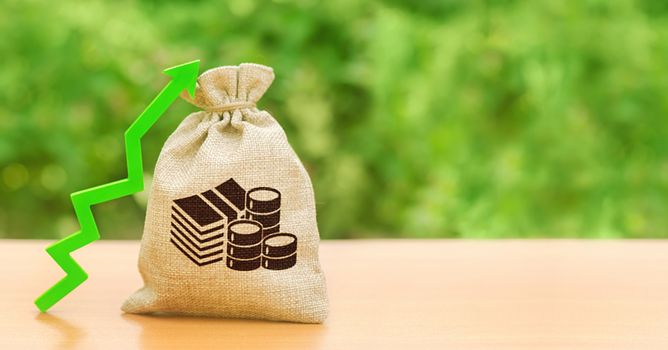 Money bag and a green up arrow. Increase profits, wages and wealth. Investment attraction. loans and subsidies. Favorable conditions for business. The growth of interest on deposits.