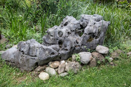 stone rock in wetland