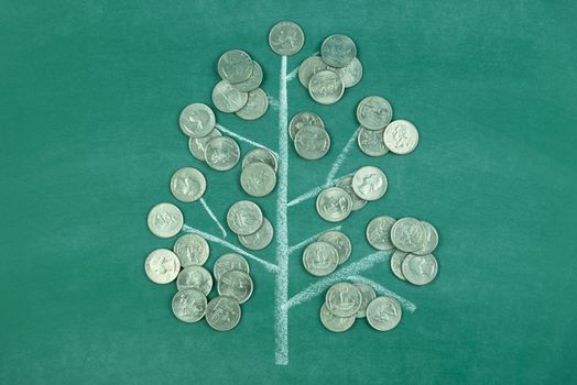 money coins tree on green chalk board