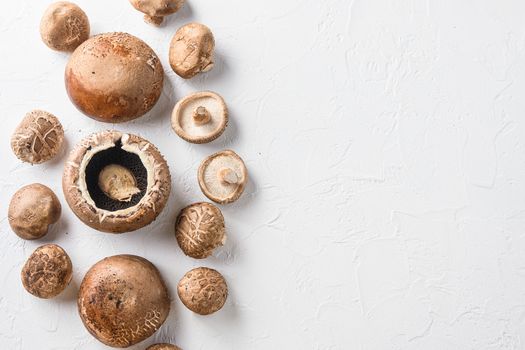 Shiitake and portobello mushrooms set on white background. Top view space for text.