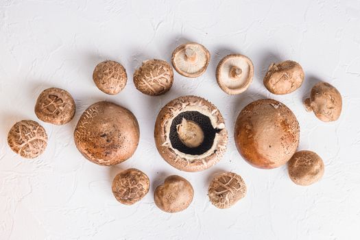Shiitake and portobello mushrooms set on white background. Top view.