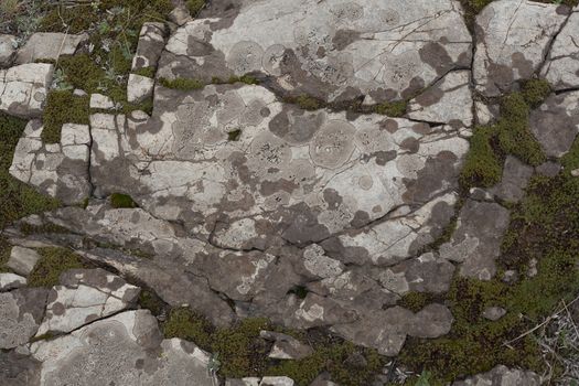 Rocky ground with moss
