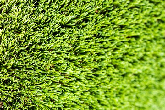 Artificial green grass or needles texture.