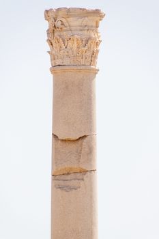 Column at the extivations of Carthage