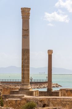 Column at the extivations of Carthage