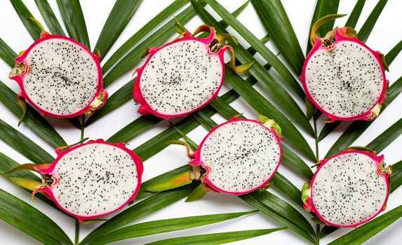 Dragonfruit or pitahaya on green leaves background. 