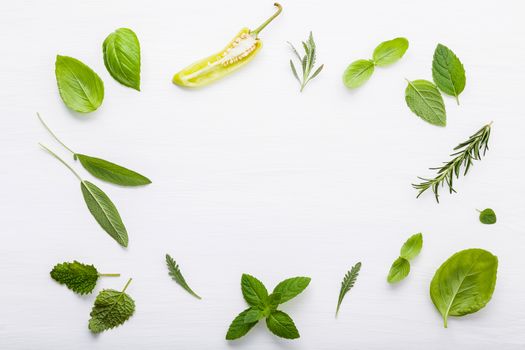 Various fresh herbs for cooking ingrediens peppermint , sweet ba