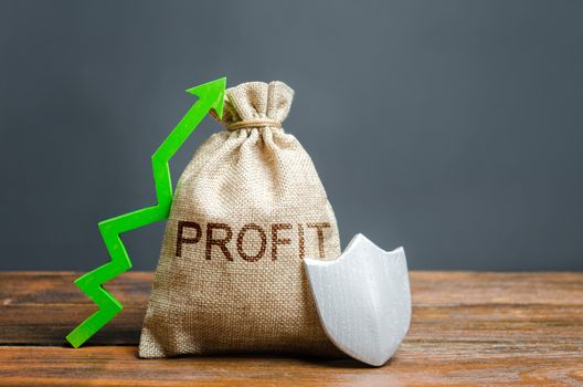Bag with the inscription Profit, green up arrow and silver shield. concept of growth and protection of investments and income, guarantee of deposits. Reducing risks, favorable conditions for business.