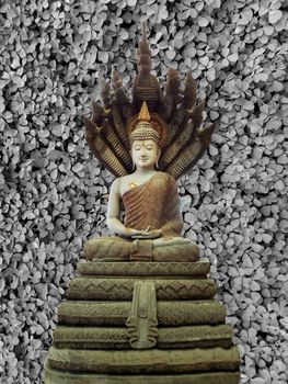buddha Naga gray clover background