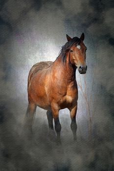 Welsh cob pony horse with a moody misty grungy texture 
