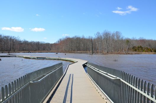 boardwalk with metal railing and lake water