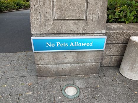 blue no pets allowed sign on cement wall and light