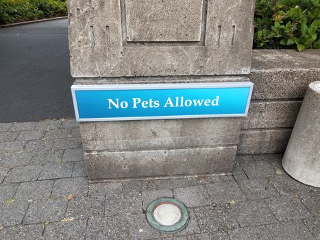 blue no pets allowed sign on cement wall and light