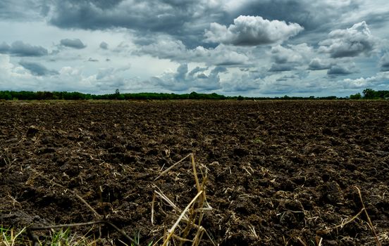 Agriculture plowed field. Black soil plowed field with stormy sk