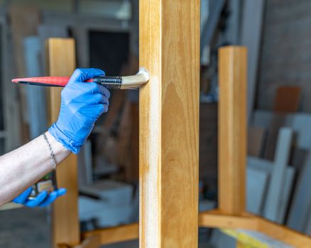 varnishing wooden furniture with brushes and varnish in the joinery