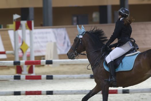 Female equestrian rider running on stallion at show jumping competition