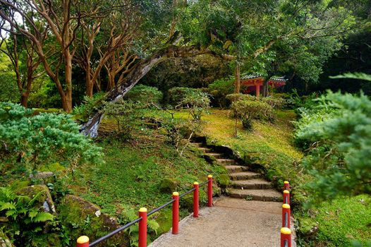 Park near the Byodo-in temple on Oahu