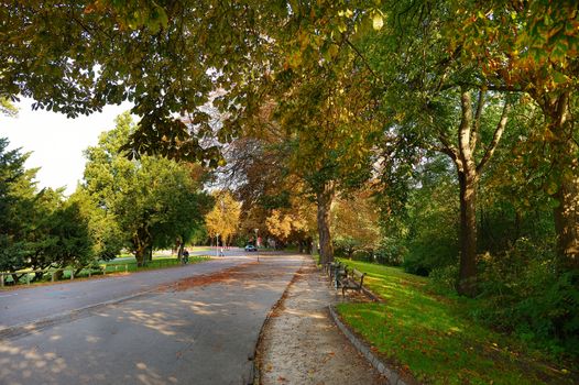Golden autumn time in Bernstoff park