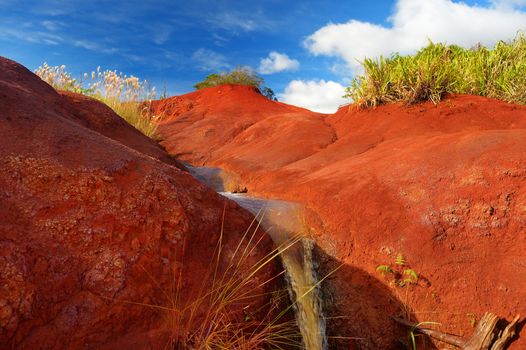 Famous red dirt of Waimea Canyon in Kauai