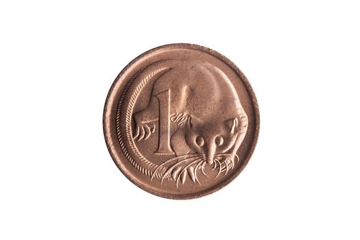 Australia one cent penny coin with an image of a Feathertail Gli
