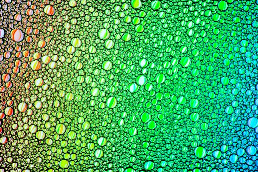 Colorful drops of oil on the water. Circles and ovals. Abstract bright background for design.