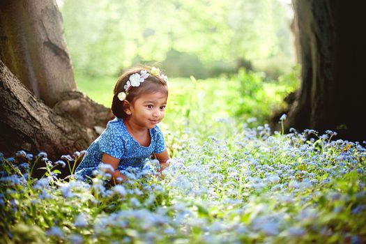 A small South Asian girl is sitting on field of forget me not blue flowers
