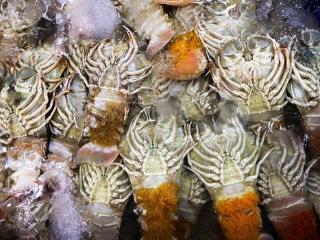 crayfish fresh on ice box in seafood market