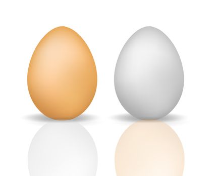 Eggs realistic 3d style with reflection. Eggshell chicken isolated on a white background. Vector illustration