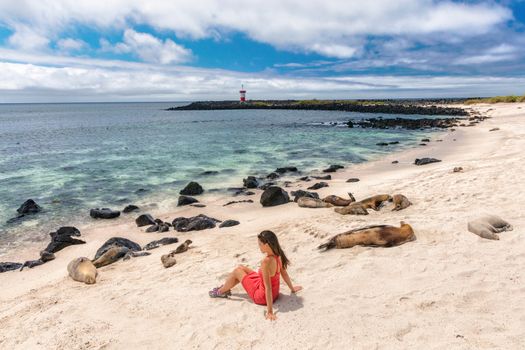 Galapagos tourist enjoying looking sitting by Galapagos Sea Lions