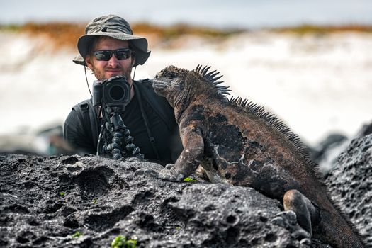 Galapagos Iguana and tourist nature wildlife photographer taking picture