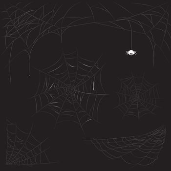 set of cobweb isolated on dark background. Spiderweb collection 
