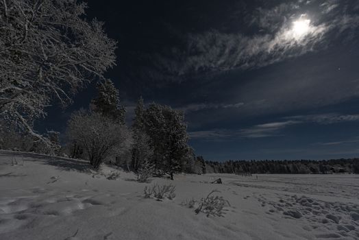 Lappish moonlit winter landscape with forest and lake on blue sk