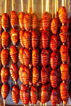 Grill and fried silkworm pupae on stick from Wangfujing street at Beijing, China