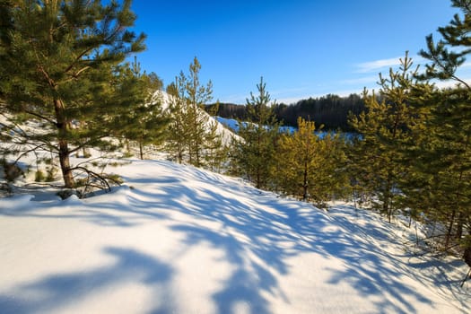 Hills covered with snow in winter with pines at foreground.