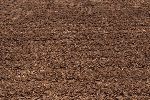 Closeup fertile soil in organic agricultural farm. Dirt soil gro