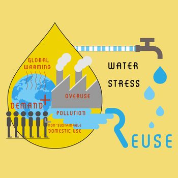 Water Stress Cause