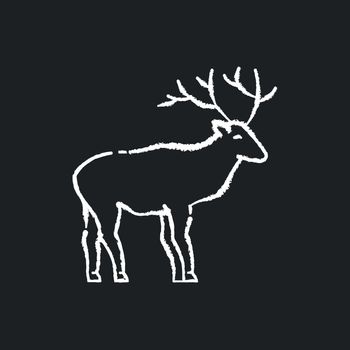 Deer chalk white icon on black background