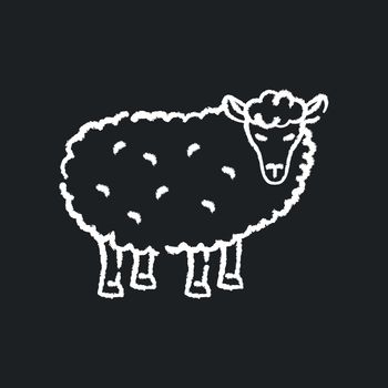 Sheep chalk white icon on black background