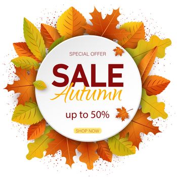Autumn background. Sales banner with autumn leaves
