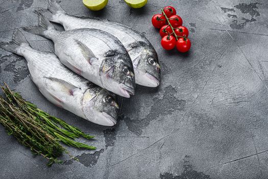 Whole set of sea bream or Gilt head bream dorada fish with herbs pepper lime tomato for cooking and grill on grey textured background, side view with space for text.