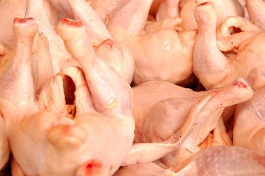Raw chicken fresh from slaughter house 