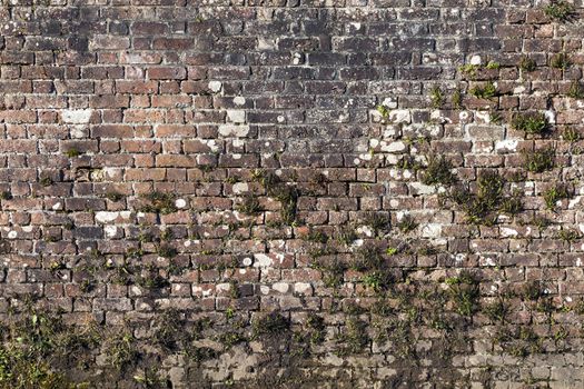 Old large weathered distressed brick wall texture background