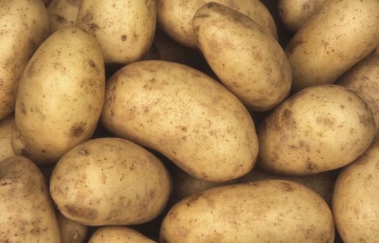 Charlotte potatoes background 